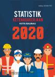 Statistik Ketenagakerjaan Kota Baubau 2020